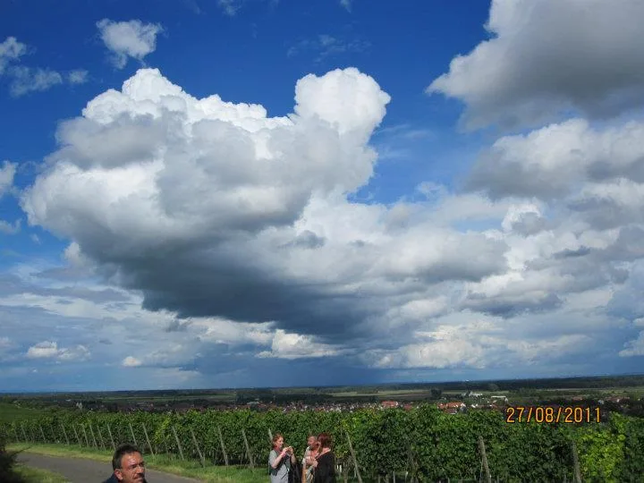 Kellerwegfest, August 2011