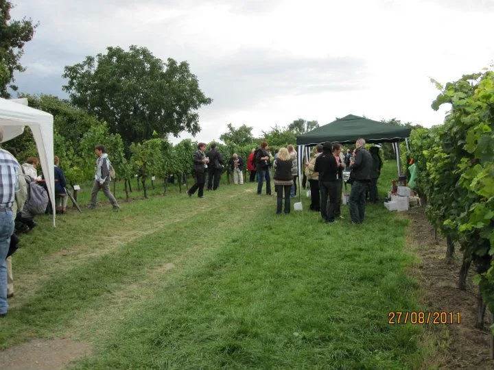 Kellerwegfest, August 2011