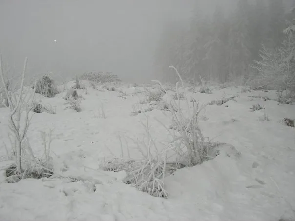 Willingen, Dezember 2008