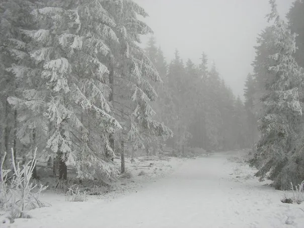 Willingen, Dezember 2008