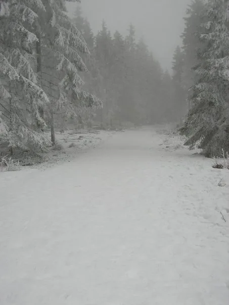 Willingen, Dezember 2008
