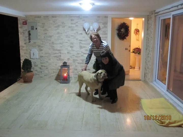 Istanbul, Dezember 2010